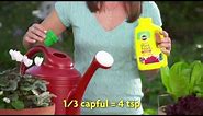 How to Use Miracle-Gro® Liquid All Purpose Plant Food Concentrate
