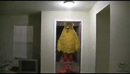Big Bird Kicks Down Door