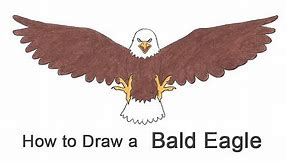 How to Draw a Bald Eagle (Cartoon)