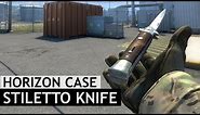 Stiletto Knife Animations | Horizon Case Update | CS:GO