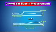 Cricket Bat Sizes & Measurements (Visual Illustration)