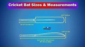 Cricket Bat Sizes & Measurements (Visual Illustration)