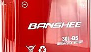 Banshee YTX30L-BS Power Sports Battery Replaces ETX30L CYIX30L-BS YGIX30 M7230L