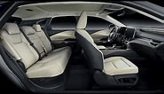 2023 Lexus RX - INTERIOR and Color Options