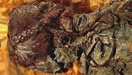 World's oldest mummified bog body found in Europe