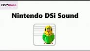 Nintendo DSi Sound (Nintendo DSi Preview)