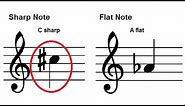 How To Read Music - Accidentals - Sharps and Flats on the Staff - Piano Lesson 12