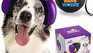 Dog Ear Muffs for Noise Protection, Noise Cancelling Headphones for Dogs, 29dB Dog Earmuffs, Dog Ear Plugs for Hearing Protection from Fireworks, Vacuums, Thunder. Reduce Anxiety (M, Purple)