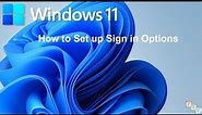 How to Setup Sign-In Options in Windows 11