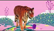Animal Songs: "Tiger in the Jungle," by StoryBots | Netflix Jr