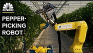 Watch This AI Robot Pick Peppers With A Tiny Saw