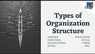 Types of Organization Structure - Organic, Functional, Multidivisional, Matrix, Projectized, Virtual