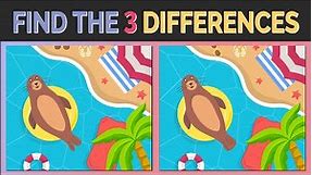 Find the Differences | Visual Challenge: Find the 3 Differences