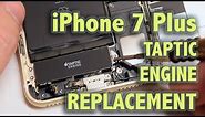 iPhone 7 Plus Taptic Engine Replacement