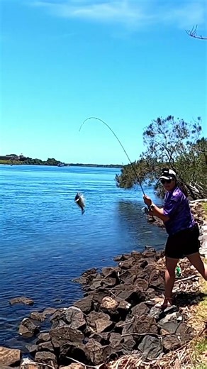Tweed River - Awesome Spot