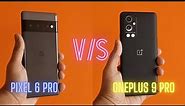 Google Pixel 6 Pro vs OnePlus 9 Pro || Camera & Performance