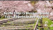 Top 10 Places for Cherry Blossoms in Kyoto - LIVE JAPAN