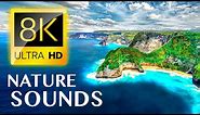 THE EARTH with NATURE SOUNDS 8K VIDEO ULTRA HD