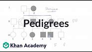 Pedigrees | Classical genetics | High school biology | Khan Academy