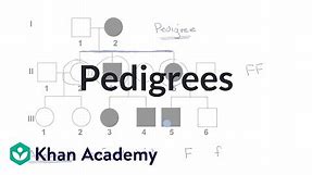 Pedigrees | Classical genetics | High school biology | Khan Academy