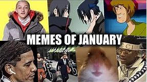 MEMES OF JANUARY 2019