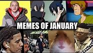 MEMES OF JANUARY 2019