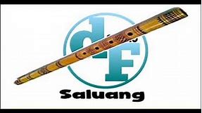 Alat Musik Tradisional Sumatera Barat - Saluang