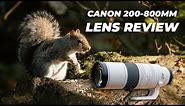 Canon RF 200-800mm f6.3-9 IS USM Lens Review | A Super Versatile Telephoto Lens