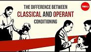 The difference between classical and operant conditioning - Peggy Andover
