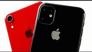 iPhone 11 - LOOK HOW SIMILAR IT IS!