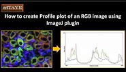 How to create Profile plot of an RGB image using ImageJ plugin