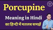 Porcupine meaning in Hindi | Porcupine ka kya matlab hota hai | Spoken English Class