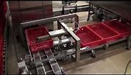 Automated bread crate filling and stacking, plastic tray stacker/destacker