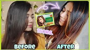 Hair Highlights at Home at just 160 Rs. | Streax Ultralights Hair highlighting kit- Soft Blonde