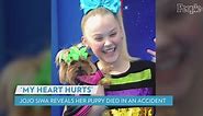 JoJo Siwa Announces Her Puppy Died from an 'Accident': 'My Heart Hurts'