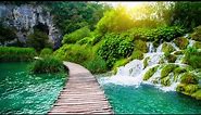 Plitvice Lakes National Park – Croatia's Garden of Eden