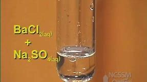 Double Displacement Sodium Sulfate and Barium Chloride