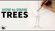 How to Sketch & Draw Trees - Understanding the Fundamentals
