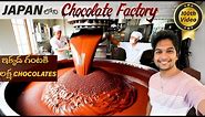100,000 Chocolates under 60 minutes | Chocolate Factory Japan | Japan Telugu Traveller