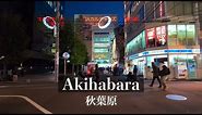 【4K】Exploring Akihabara's Electric Town at Night