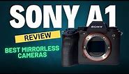 Sony a1 Mirrorless Camera Review 2024