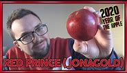 Red Prince Jonagold Apple Review | Year of the Apple