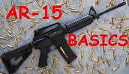 AR-15 Basics: Controls, Function, Disassembly, & Reassembly.