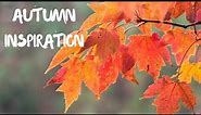 10 Inspirational Quotes For Autumn | Fall Quotes to Motivate You