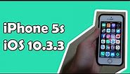 iPhone 5s iOS 10.3.3 [PT-BR]