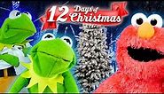 Elmo and Kermit The Frogs 12 Days Of Christmas ft Cookie monster! (Song Cover)