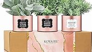KOYAIRE 3 Motivational Faux Desk Plants for Office - Rose Gold Office Decor for Women - Small Desk and Home Office Accessories - Desk Decorations for Women Office - Pink Dorm Decor for College Girls