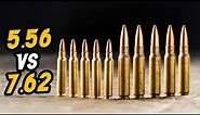 5.56 mm vs 7.62 mm AMMO - Which is the Better Long Distance Round?