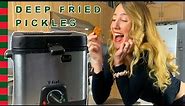 T-FAL Mini Deep Fryer 1.2L Review