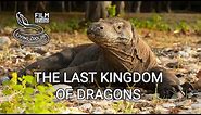 The Last Kingdom of Dragons - film about Komodo by Living Zoology film studio